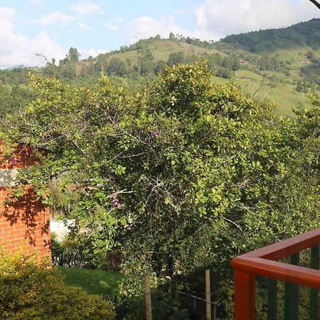 Casita Entera Economica El Altillo Daire Salento Dış mekan fotoğraf